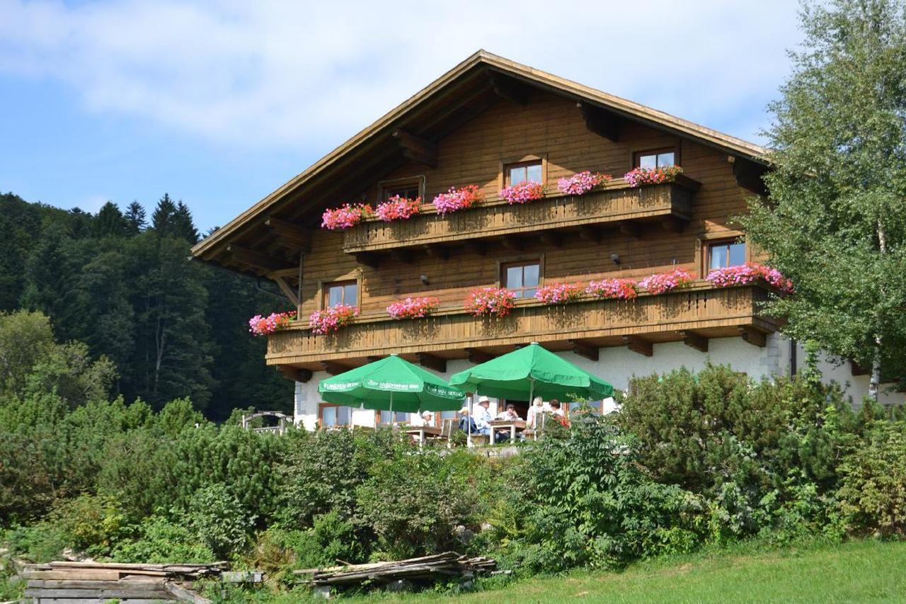 فندق هاوتسنبرغفي  Berggasthof Sonnenalm المظهر الخارجي الصورة