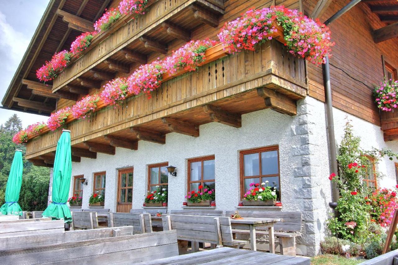 فندق هاوتسنبرغفي  Berggasthof Sonnenalm المظهر الخارجي الصورة